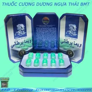 Thuốc Cương Dương Ngựa Thái BMT