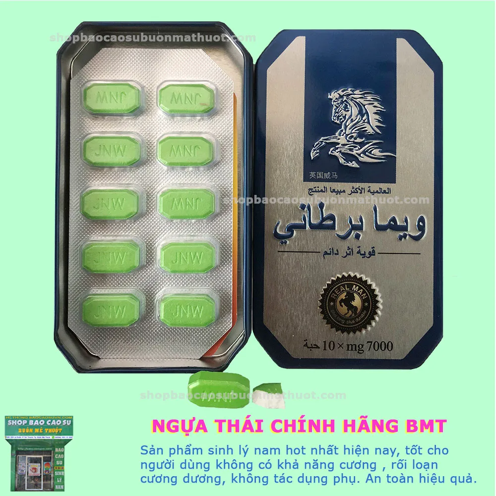 NGỰA THÁI CHÍNH HÃNG BMT