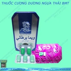 Comboo 5 viên ngựa thái tại BMT